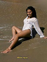 shemales fucked shemales