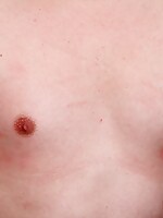 beautiful shemales fucked