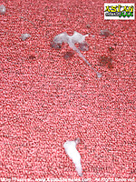 transsexuals pantyhose fuck